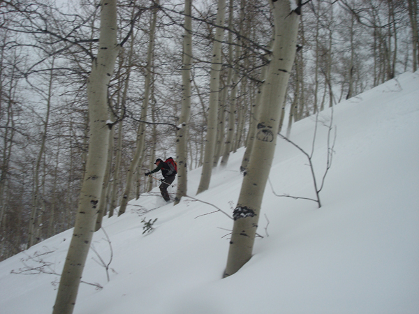 Mason Diedrich tree skiing on Circle All Peak. Photos: Jared Hargrave