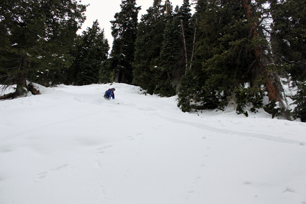 Last run of the two-day tour, and Mason can't complain about this line in the glades.