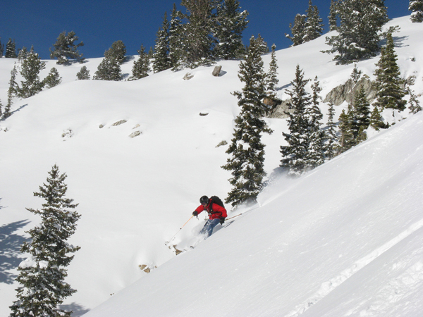 Skiing the recrystalized powder on Grizzly's south-facing slopes.