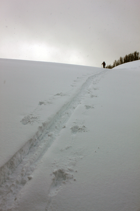 Skin track on a low angle slope in upper Beartrap Fork.