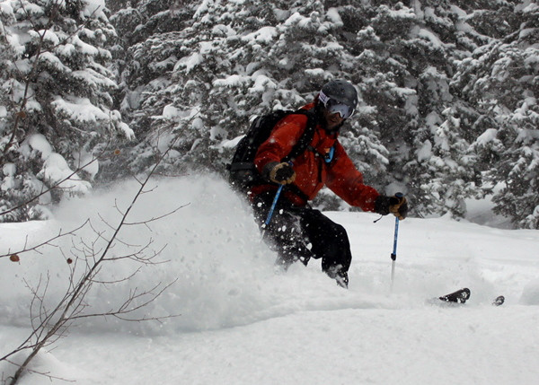 Eric turns in 8 inches of new powder in the aspen groves of Beartrap Fork.