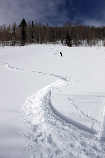 Open spaces and deep powder define Powder Park. Skier: Adam Symonds.
