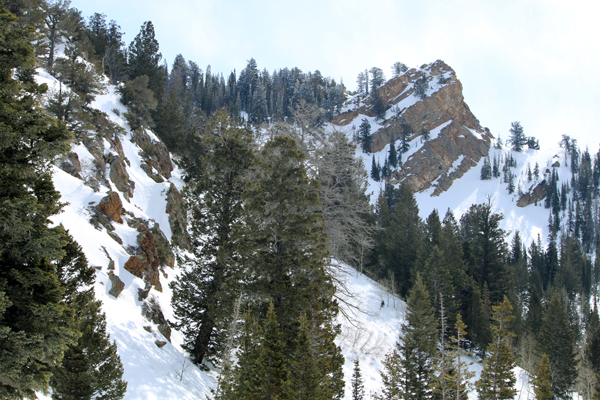 A view of the ski terrain from Thomas Fork in Neffs Canyon