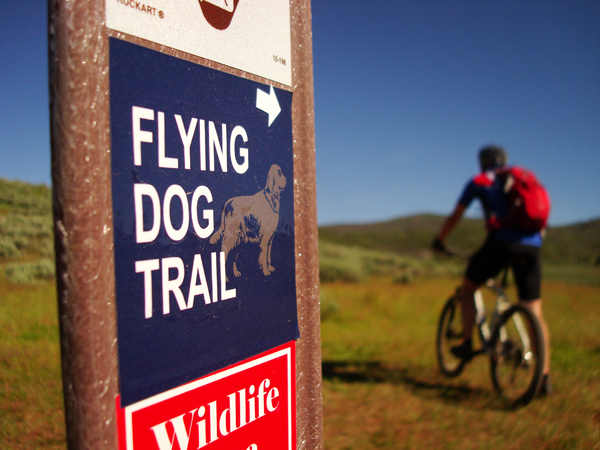 Mountain biking on the Flying Dog Trail at Kimball Junction.