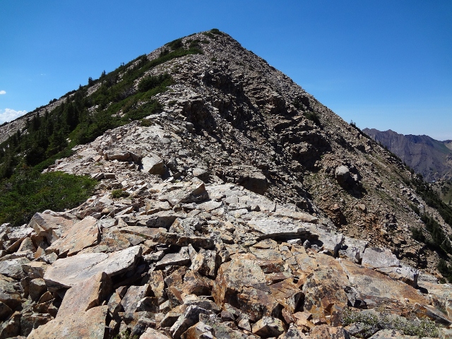The final summit ridge on Sugarloaf Peak proves to be an easy hike. (Photo: Ryan Malavolta - UtahOutside.com)