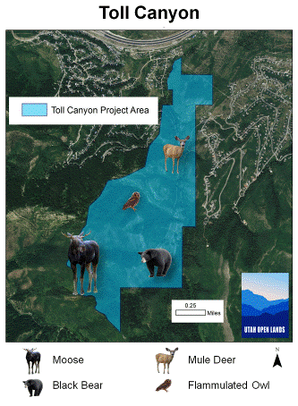 Map of the Toll Canyon area. (image: Utah Open Lands)