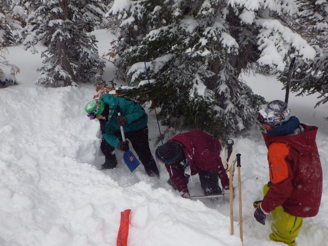 Digging a pit during an avalanche safety course at Snowbird.