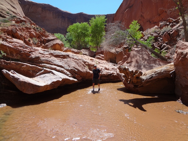Hiker Skip Whitman beats the heat by walking through the stream in Coyote Gulch (Ryan Malavolta)