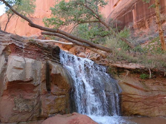 There are four impressive waterfalls in Coyote Gulch, this one was ideal for cooling off in (Ryan Malavolta)