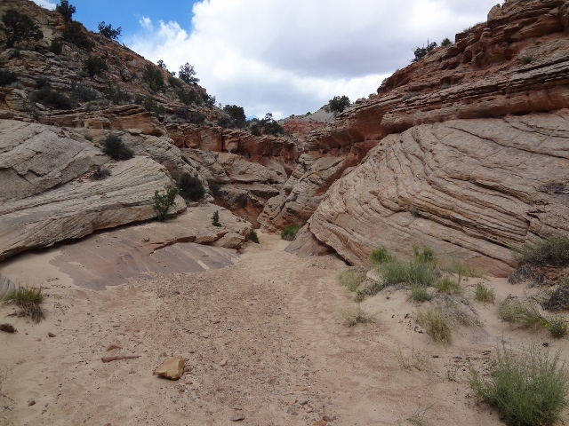 Burro Wash narrows after 2 miles and becomes a true slot canyon. (photo: Ryan Malavolta)