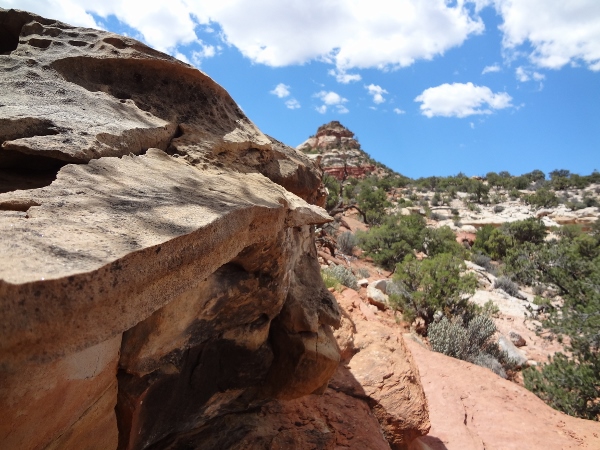 View from the Frying Pan trail in Capitol Reef National Park (photo: Ryan Malavolta)