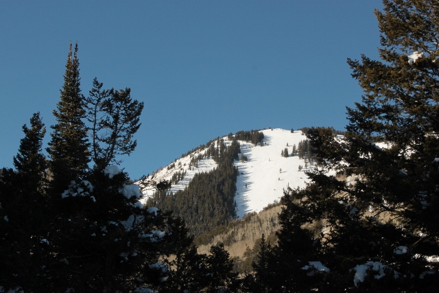 The view of Horsehead Peak from North Creek. The "horsehead" is the patch of snow on the left in the middle of the pine forest. (Photo: Jared Hargrave - UtahOutside.com)