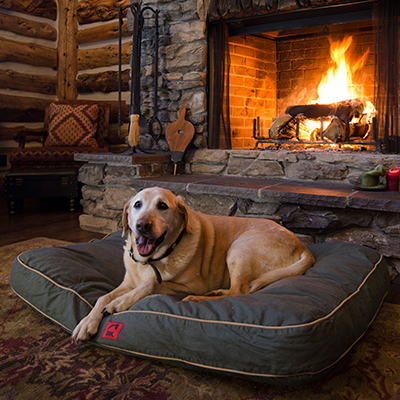Mountain Khakis Canvas, Recycled Waterproof Dog Bed. (Image: Mountain Khakis)