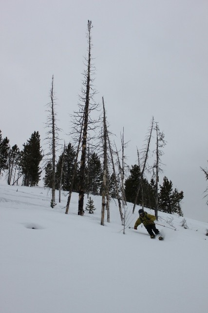 Mike DeBernardo skis among the burnt trees around the Ridge Yurt in the Uinta Mountains. (Photo: Jared Hargrave - UtahOutside.com)