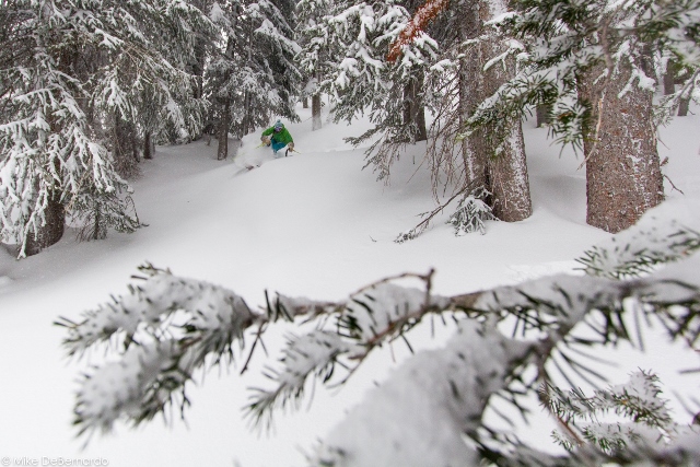 The trees on lower Eagle's Nest collected wind-blown snow, leading to a fairy forest of powder that we had all to ourselves. (Skier: Lexi Dowdall, Photo: Mike DeBernardo)