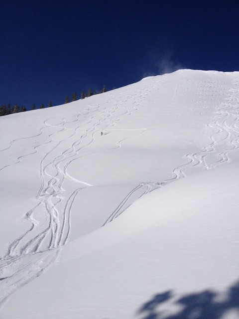 Ski signatures courtesy of Salomon and their new Q series of skis. (Photo: Jared Hargrave - UtahOutside.com)
