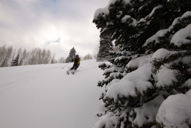 Creamy, untracked turns were found in Franklin Basin, despite the proliferation of snowmobile tracks. (Skier: Mason Diedrich. Photo: Jared Hargrave - UtahOutside.com)
