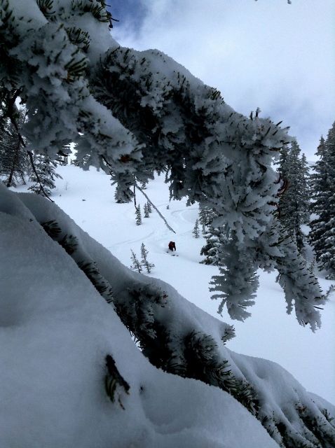 Skiing with the Atomic Cliffline kit proved to be a pleasurable experience in the backcountry, but would be better suited in bounds. (Photo: Lexi Dowdall)