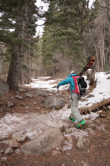 The first mile to Box Elder was on dirt trail, as the winter of 2013/14 was not kind to lower-elevation trailheads. (Skier: Adam Symonds. Photo: Jared Hargrave - UtahOutside.com)