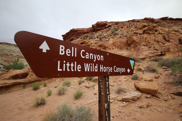 The intersection of Little Widlhorse Canyon and Bell Canyon is marked with a sign. Navigation is easy when you hike in this part of the San Rafael Swell. (Photo: Jared Hargrave - UtahOutside.com)