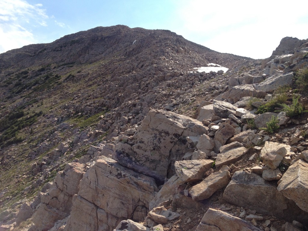 A view of the Northeast Ridge route on Mount Watson. This photo was taken about halfway to the summit beginning near Clyde Lake. (photo: Ryan Malavolta)
