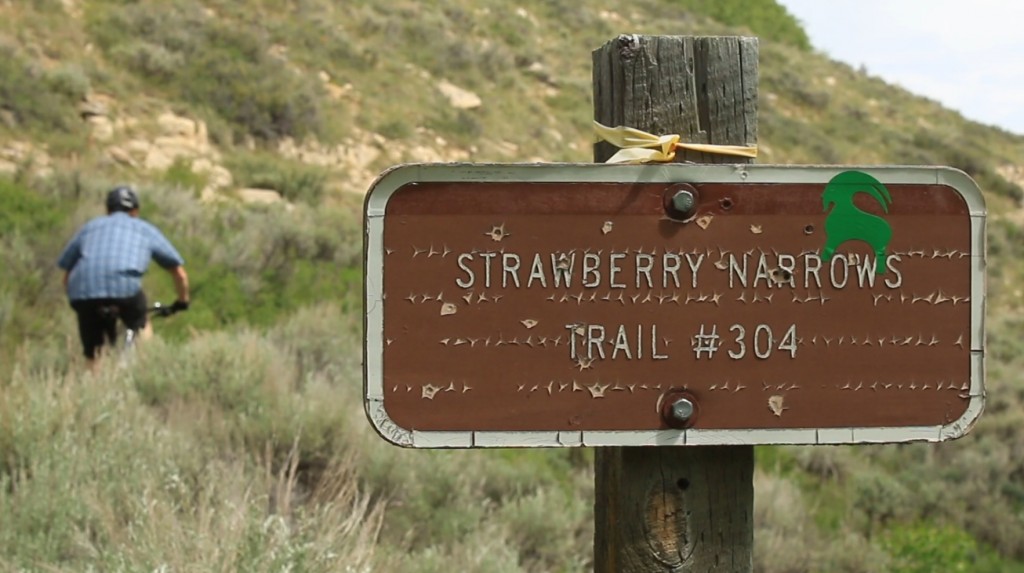 The Strawberry Narrows Trail is a fun mountain bike ride above Strawberry Reservoir. The whole trail is well signed so it's hard to get lost. (Photo: Jared Hargrave - UtahOutside.com)