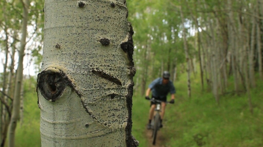 Aspen groves provide shade and twisting singletrack on the Strawberry Narrows Trail. (Photo: Jared Hargrave - UtahOutside.com)