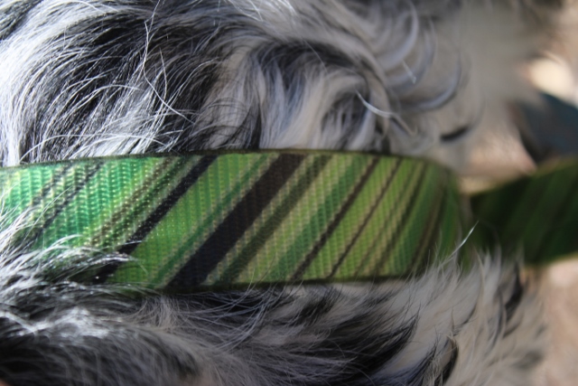 The Oxford collar has a snazzy yet sophisticated look. (Photo: Jared Hargrave - UtahOutside.com)