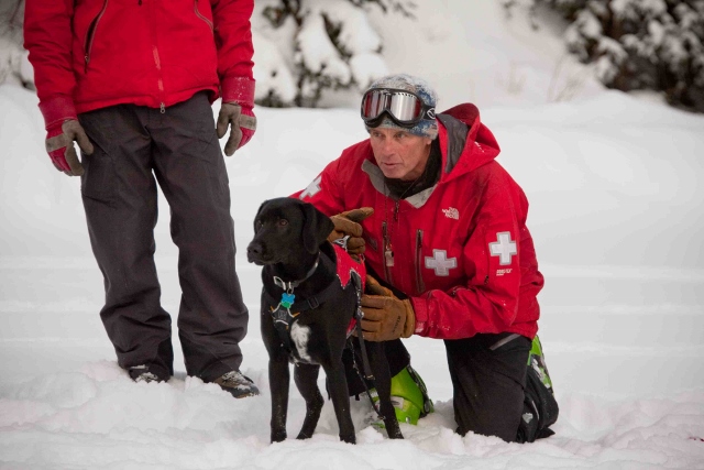 Wasatch Backcountry Rescue is holding a fundraiser to support rescue dogs at Sandy Station on Novermber 6th. (Image: WBR)