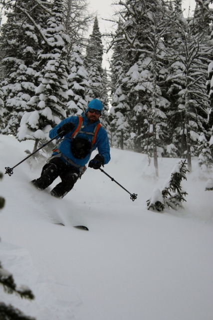 Five Mile features lower-angle, treed slopes - ideal for high avalanche danger days. Skier: Brad Steele, BackcountrySkiingCanada.com. (Photo: Jared Hargrave - UtahOutside.com)