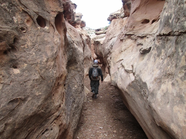 Skip Whitman enters the second set of narrows in Wild Horse Canyon. These are more slot-like than the first section (photo: Ryan Malavolta/Utahoutside.com)