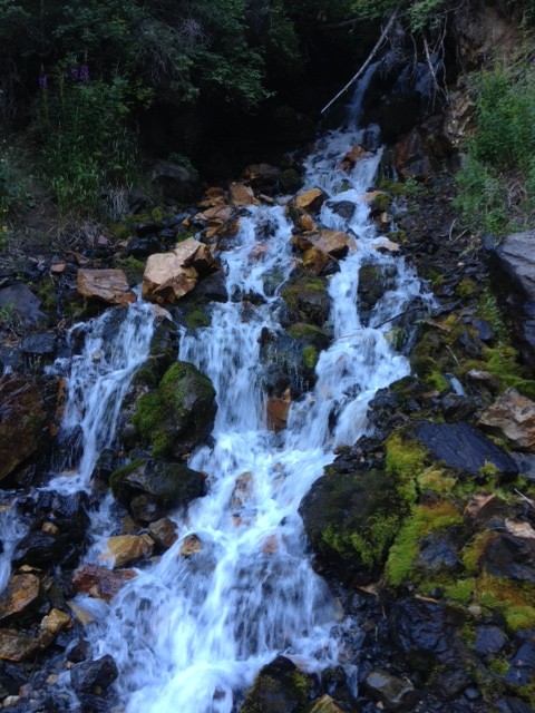 You will have to cross a few waterfalls that go across the trail in the bottom of Mineral Fork. (Photo: Jared Hargrave - UtahOutside.com)