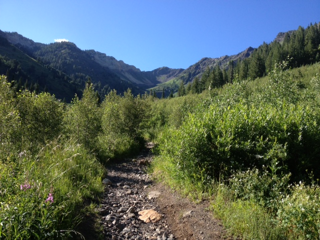 The Mineral Fork trail with an open view of the upper reaches of the canyon. (Photo: Jared Hargrave - UtahOutside.com)