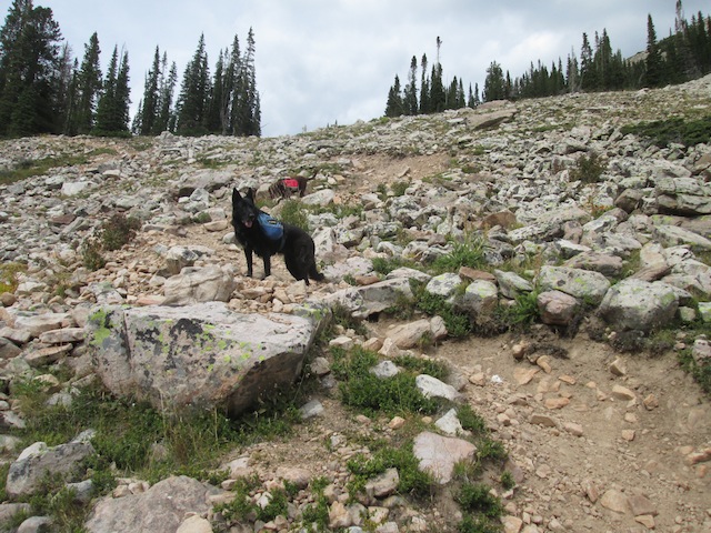 Janna and Cash the adventure dogs on the rocky climb to Cuberant Lake. Like all Uintas areas, this trail is dog friendly! (photo: Ryan Malavolta/Utahoutside.com)