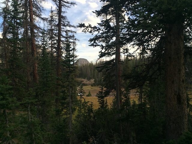 Reids Peak is framed in by pine trees in one of the many fine campsites near Cuberant Lake. (photo: Ryan Malavolta/Utahoutside.com)