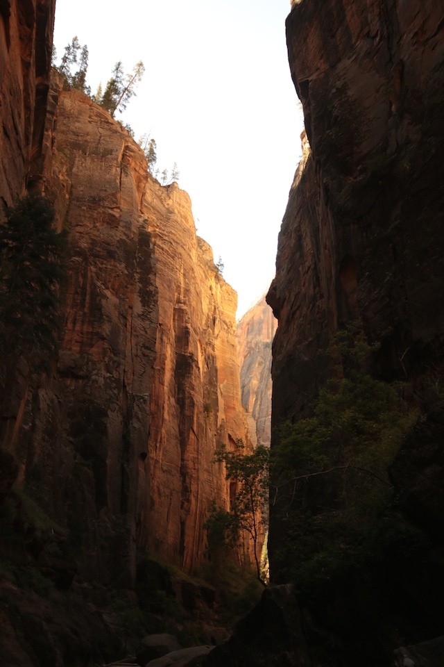 The Zion Narrows get even more stunning below Big Spring, especially in the morning light. (Photo: Jared Hargrave - UtahOutside.com)