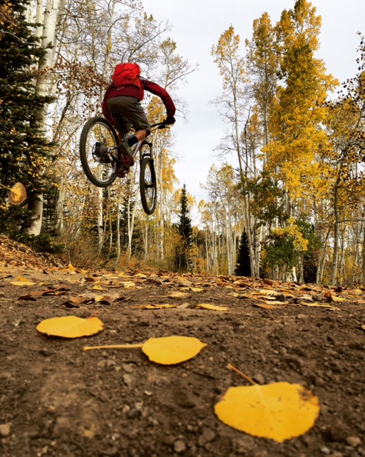 Autumn is perhaps the best time to ride Tidal Wave. The fall colors, tacky dirt, and lack of crowds will provide you with the best day on a bike you can imagine. (Rider: Sean Zimmrman-Wall. Photo: Jared Hargrave - UtahOutside.com) 