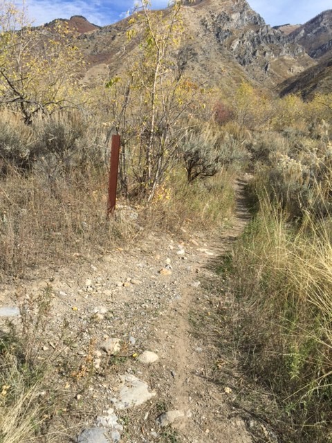 Turn right onto Spring. Note the lack of markings on the sign post. The creek is your guide.