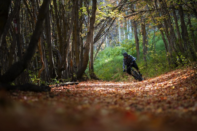 After mountain biking through piles of autumn leaves, check ou the town for off-season restaurant and bar deals. (Photo: Ross Downard Photography)