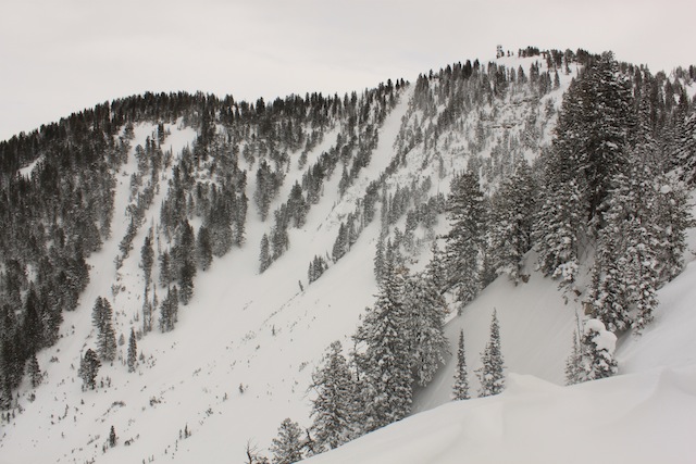 North-facing avalanche paths are the best ski runs on Logan Peak when the snowpack is stable. (Photo: Jared Hargrave - UtahOutside.com)