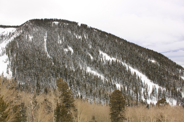The Corkscrew Glades, as seen from the summit of Noriega's Peak, is a sure-fire place to find powder turns after a storm. (Photo: Jared Hargrave - UtahOutside.com)