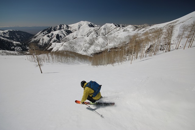 Mike DeBernardo cruises down Lowe Peak with Ophir Canyon below. This mountain is famous for consistent spring corn skiing. (Photo: Jared Hargrave - UtahOutside.com)