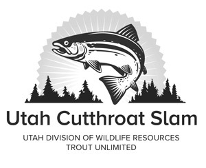 Image: Utah Cutthroat Slam