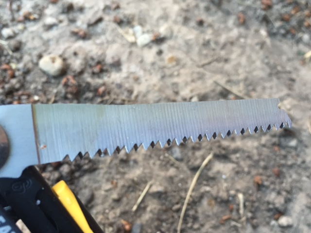 The Leatherman Signal saw can cut through small branches. (Photo: Jared Hargrave - UtahOutside.com)