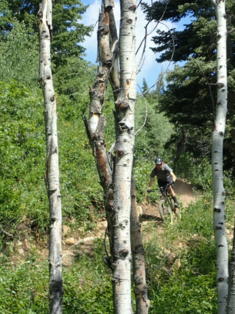 Descending on the Diamondback Mason 27.5+ while riding the WOW Trail. (Photo: Mason Diedrich)