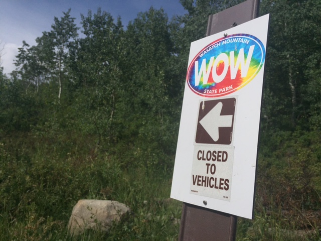 The WOW Trail at Wasatch Mountain State Park is marked by these tie-dye signs. (Photo: Jared Hargrave - UtahOutside.com)
