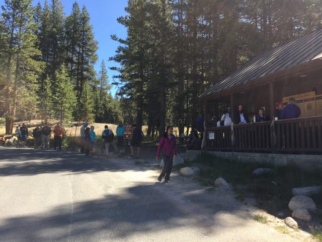 The line at the Tuolumne Meadows permit office reminded me of a concert at Red Butte Gardens. (photo: Ryan Malavolta/Utahoutside)