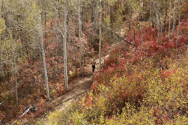 Enjoy the fall colors as your run The North Face Endurance Challenge in park City on September 24-25. (Photo: The North Face Endurance Challenge)