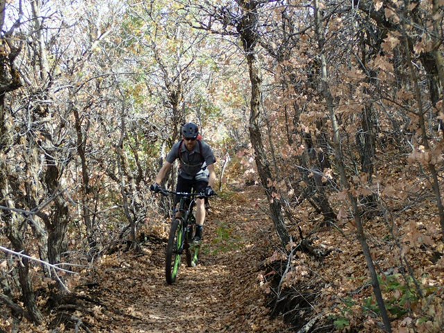 The author descends through aspen and scrub-oak groves on the Coyote Canyon Loop. (Photo: Mason Diedrich)