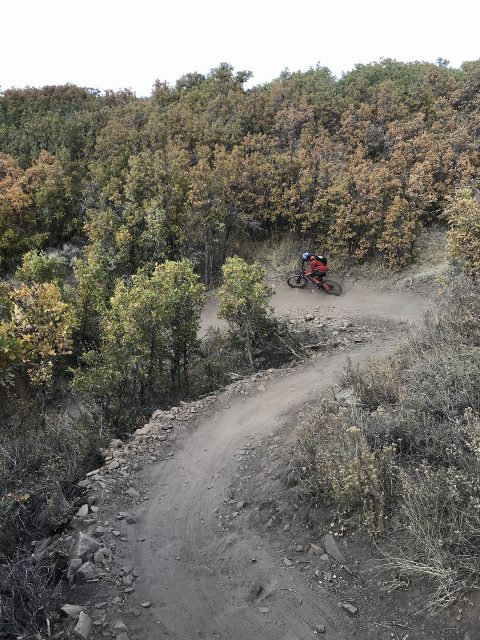 Pulp Friction Downhill